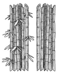 Naklejka premium Bamboo branch, leaf illustration, drawing, engraving, ink, line art, vector