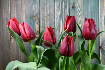 red tulips on the wood background