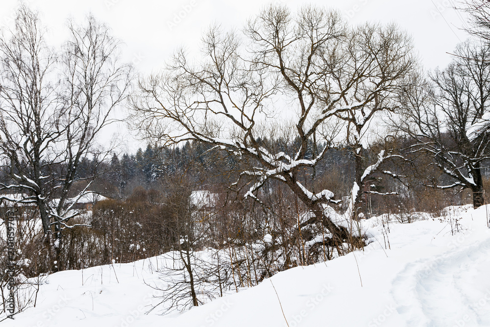 Poster footpath and view of old russian village in winter