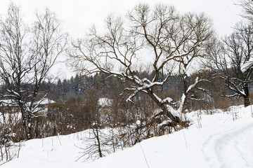 footpath and view of old russian village in winter