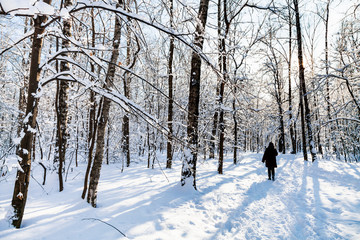 woman at snowy path in urban park in sunny day