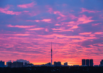 blue and pink sunrise over Moscow city