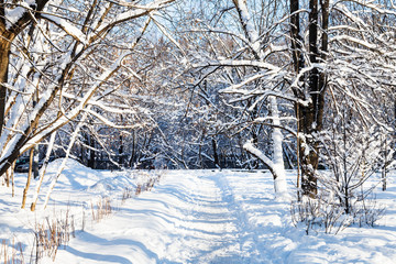 snow-covered footpath to urban park in winter