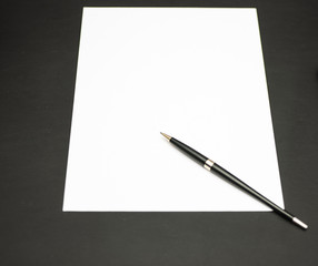 Blank paper and pen on the office table.