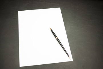 Blank paper and pen on the table.