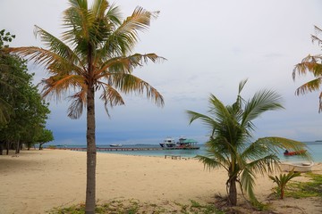 Fototapeta premium Beautiful view of coastline and small pier in Indian Ocean, Maldives. Beautiful summer evening, white sound beach and palm trees on blue sky background. 
