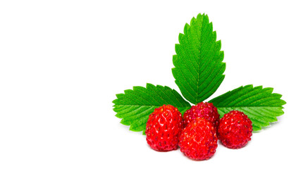 Wild strawberry isolated on white background closeup