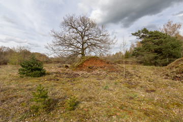 Walk over old mining area