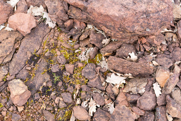 Walk over old mining area