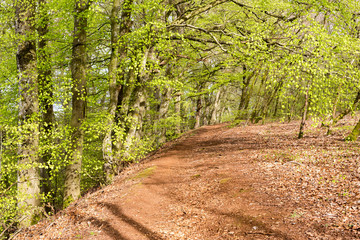 Walk over old mining area