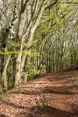 Walk over old mining area