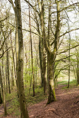 Walk over old mining area