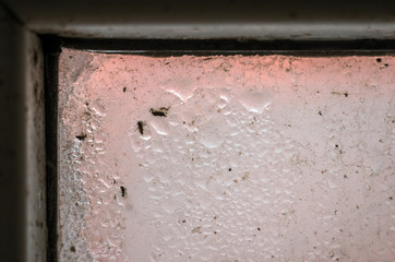 experiments with glycerin and water