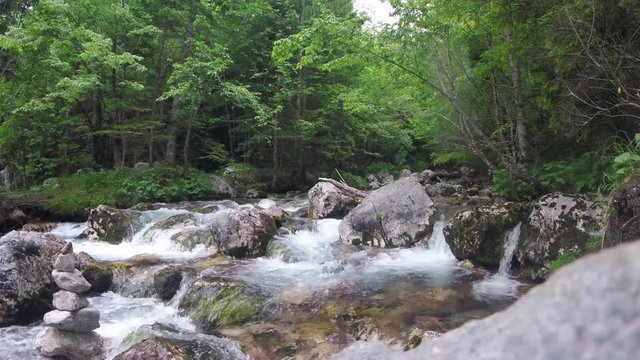 Water flow, river flowing between the rocks in a forest in the Alps mountains, Europe