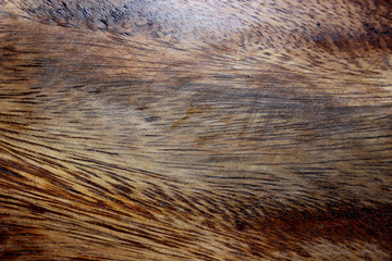 Natural brown wood texture close-up, background