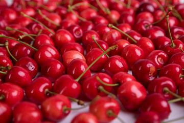 A few cherry blossoms on an isolated white background