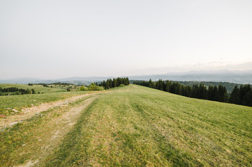 summer mountains green grass and blue sky landscape