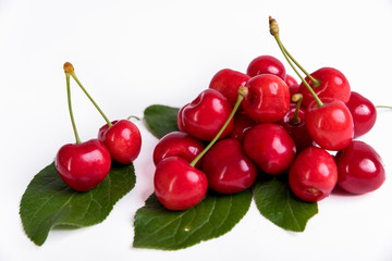 A few cherry blossoms on an isolated white background