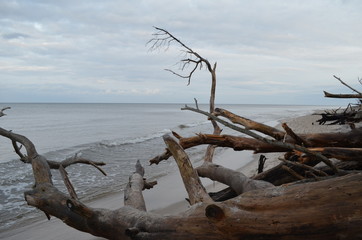 Połamane konary drzew na plaży w Juracie w grudniowe popołudnie
