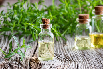A bottle of mountain savory essential oil with fresh Satureja montana