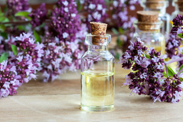 A bottle of oregano essential oil with fresh blooming oregano