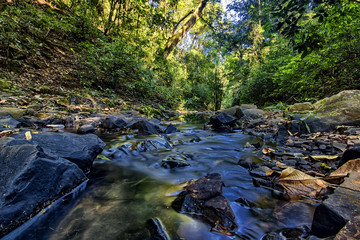 Creek with stones between the forest in Santa Rita do Passa Quatro, São Paulo, Brazil