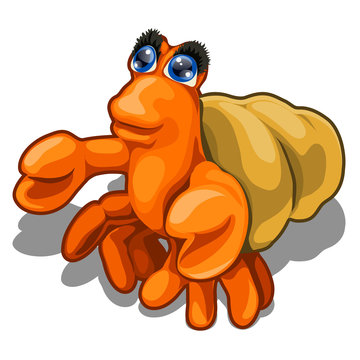 Cartoon hermit crab isolated on white background. Vector close-up cartoon illustration.