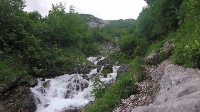 Water flow, river flowing between the rocks in a forest in the Alps mountains, Europe