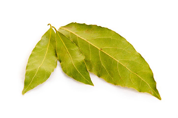 Laurel leaves herb on white background isolation