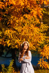 sincere smile of a young woman against the background of trees with yellow leaves on a beautiful sunny day