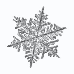 Snowflake on white background. This vector illustration based on macro photo of real snow crystal: complex stellar dendrite with fine hexagonal symmetry, ornate shape and six thin, elegant arms.
