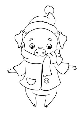 Pig in a winter coat, scarf and hat. Symbol of the new year 2019 in the Chinese calendar. Children's coloring. Vector