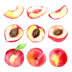 Juicy ripe peaches . Sliced fruits isolated on white background. Summer healthy food drawing.Hand-drawn watercolor illustration.
