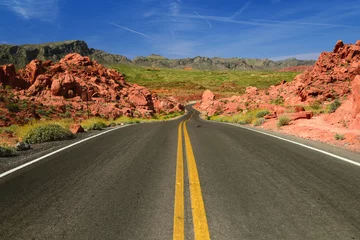 Fotobehang Schilderachtige weg in Valley of Fire State Park in Nevada, VS © verinize