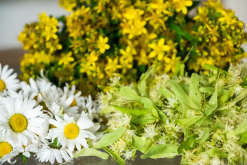 Ромашка. Липа. Зверобой.