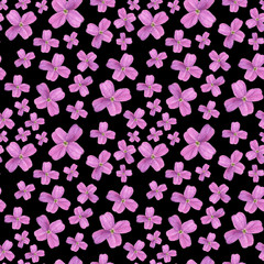 Hesperis on black background. Seamless watercolor pattern. Could be used for textile or in design