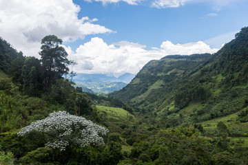 Fototapeta na wymiar Randonnée autour de Jardín, Antioquia, Colombie