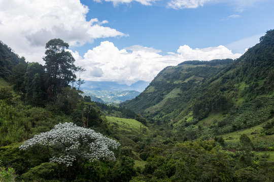 Randonnée autour de Jardín, Antioquia, Colombie