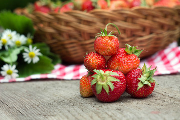 several strawberries on the background of a basket of berries