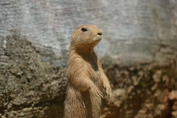 This is my best pose.