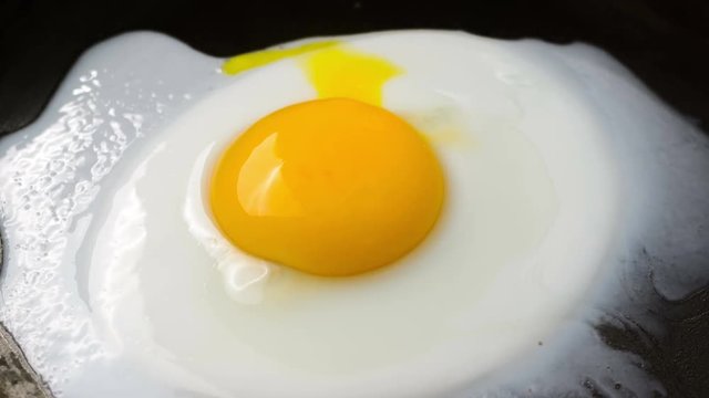 Cooking Fried eggs. Process of Preparation of One Fried Egg. Time Lapse.