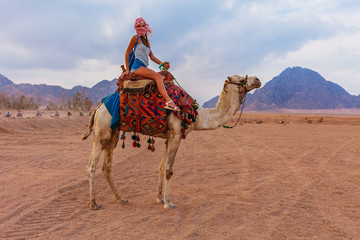 Tourist woman in traditional arabian clothes with camel in the Sinai Desert, Sharm el Sheikh, Sinai...