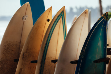 Set of different color surf boards in a stack by ocean.WELIGAMA, SRI LANKA. Surf boards on sandy Weligama beach in Sri Lanka. surf is available all year around for beginner and advanced