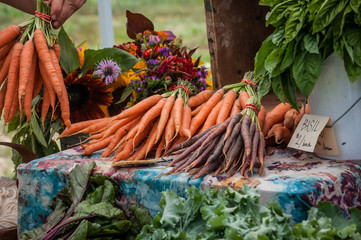 Carrots for sale at a farm stand