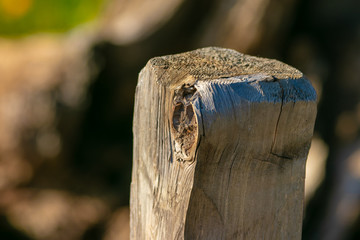 Rustic Wooden Post