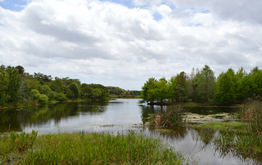 Fototapeta na wymiar Curving Marsh