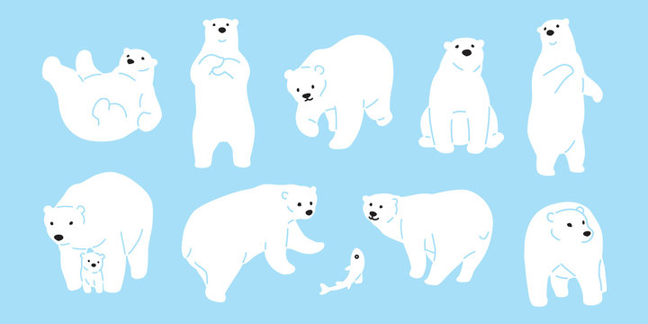 Bear vector polar Bear icon logo illustration character doodle white