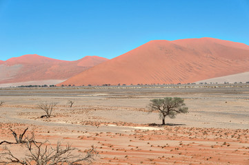 Desert Sand Dunes in Southern Namibia taken in January 2018