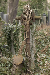 Obraz premium The Tombstone on the old Prague Cemetery Olsany, Czech Republic