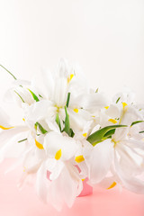 Naklejka na ściany i meble Beautiful White Iris Flowers on Pink Background